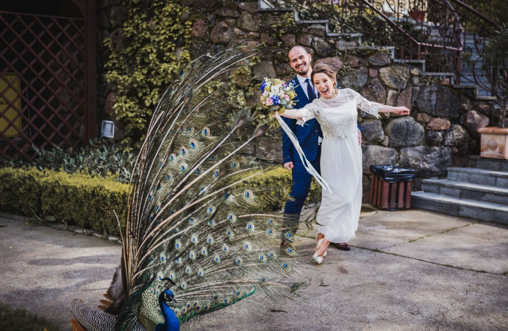 wesele w Bursztynowym Pałacu, Strzekęcino, fotograf ślubny Koszalin, Barbara Rompska, pawie pióra