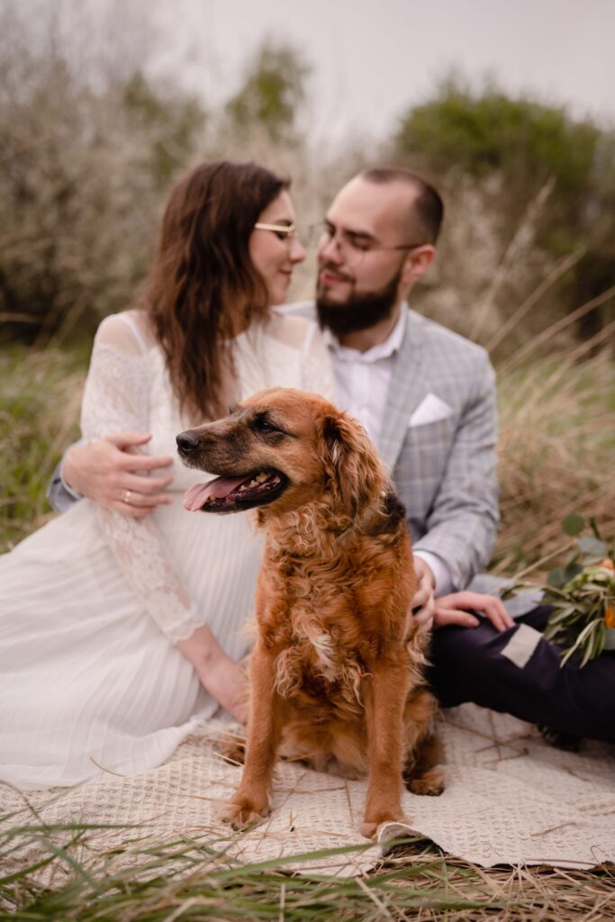 sesja ślubna, plener, kwitnące krzewy Barbara Rompska, fotograf Koszalin, pies, przyjaciel rodziny