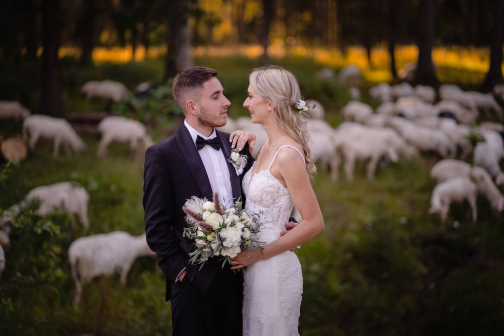 sesja ślubna w górach, Zakopane, Tatry, Rompska Fotografia, fotograf na wesele, para młoda, Dolina Chochołowska, sesja o zachodzie, złota godzina, owce